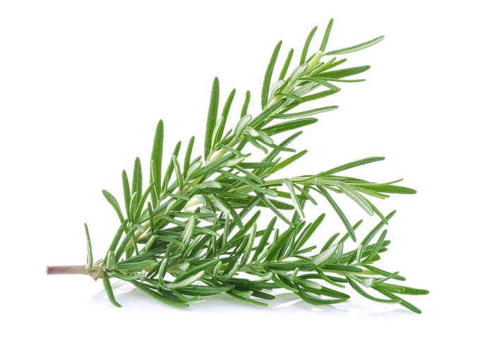 新鲜迷迭香 Fresh Rosemary 10g
