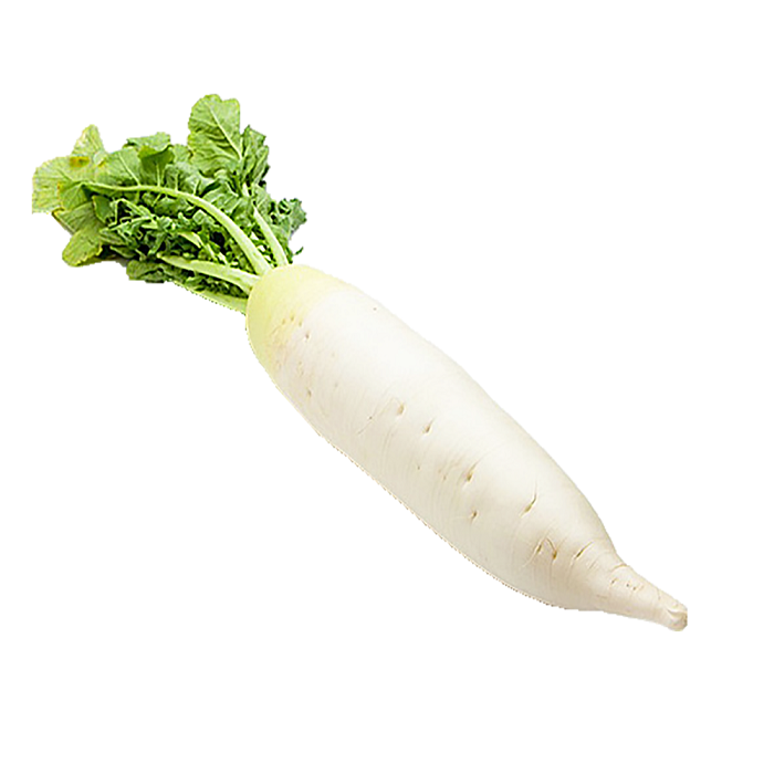 白萝卜 ≈600-700g+-（金马伦）