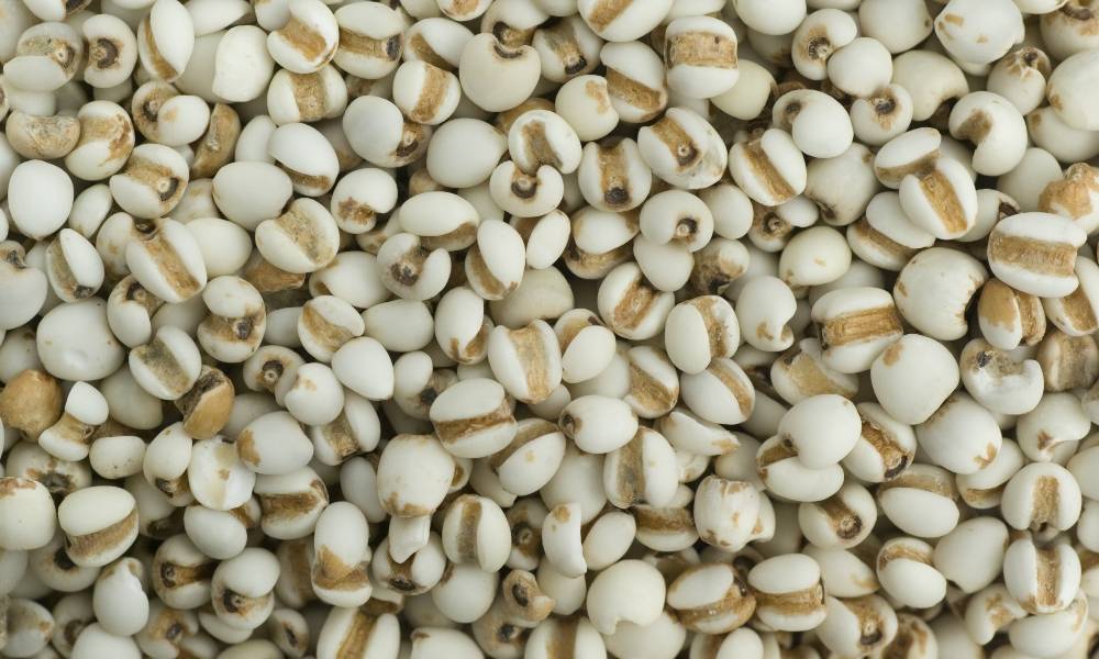 中国薏米 Barli China 300g