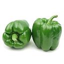 青灯笼椒 ≈300g